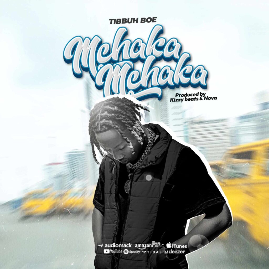 AUDIO | Tibbuh Boe – Mchakamchaka | Download