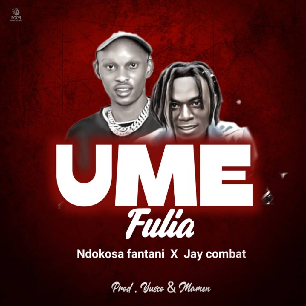 Audio | Ndokosa Fantani _ umefulia | Download