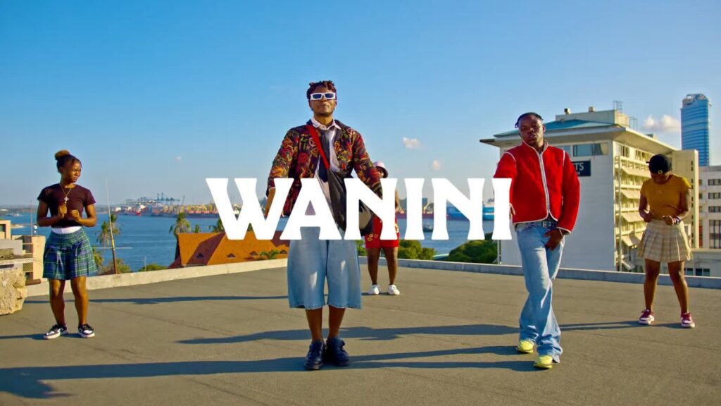 VIDEO | DaPoison Ft. Mr Kesho – Wanini