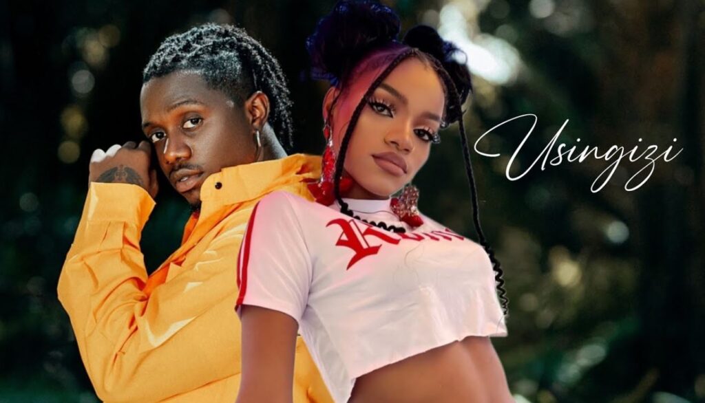 AUDIO | Rayvanny Ft. Yammi – Usingizi | Download