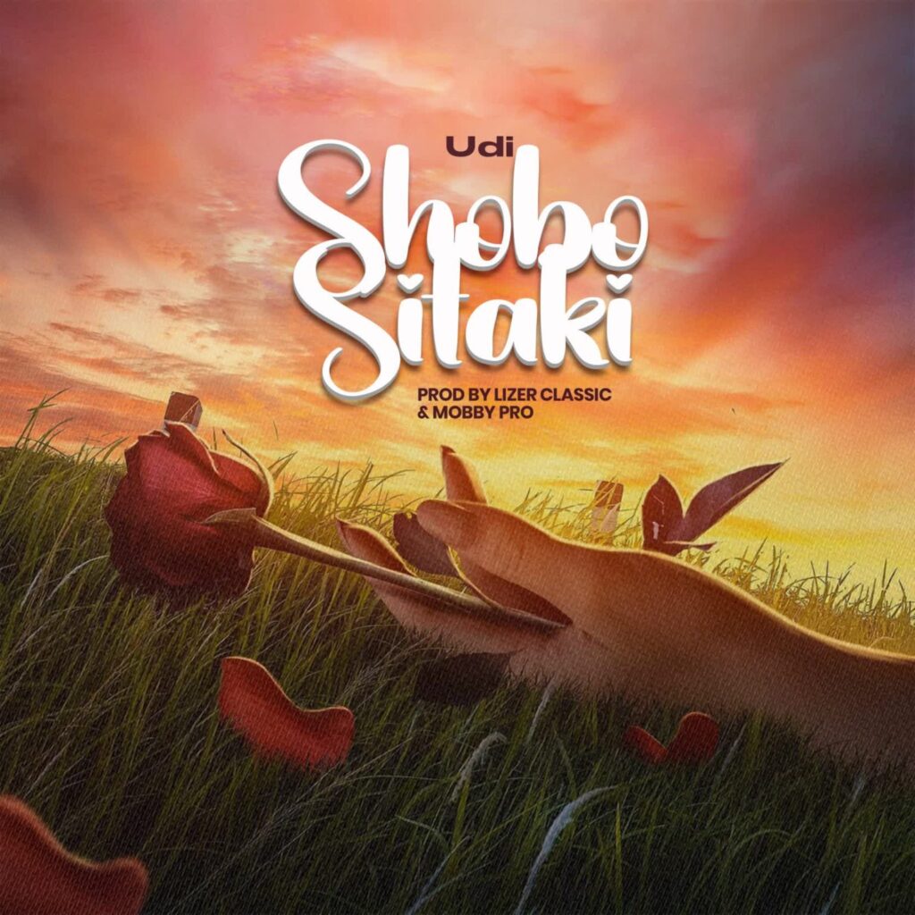 AUDIO | Udi – Shobo sitaki | Download