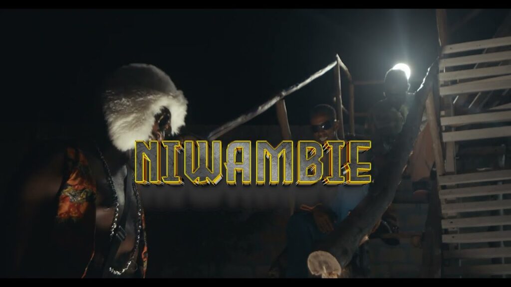 DanceVideo | Director Shaibu – Niwambie