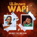 Audio | Don Breezy Ft Dogo Elisha – Ulikuwa Wapi | Download