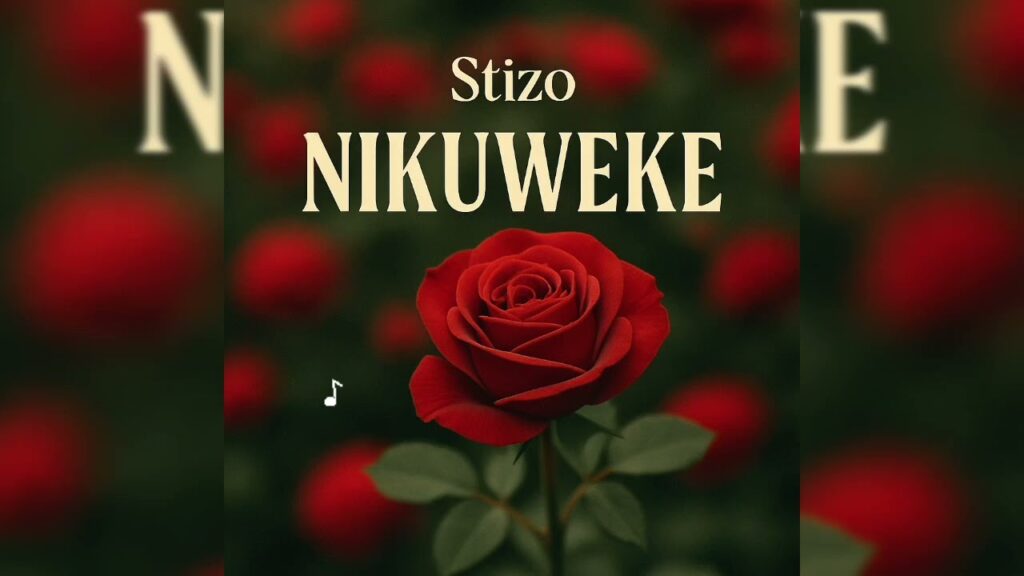 Audio | Stizo _ NIKUWEKE | Download