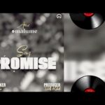 Audio | Malume-Promise | Download