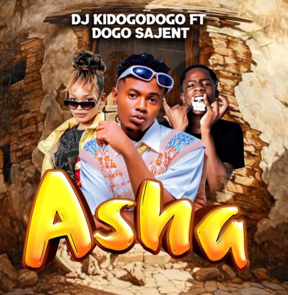 AUDIO | Dj Kidogodogo Ft. Dogo Sajent – Asha | Download