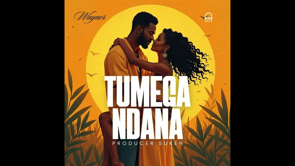 Audio | Wayner – Tumegandana | Download