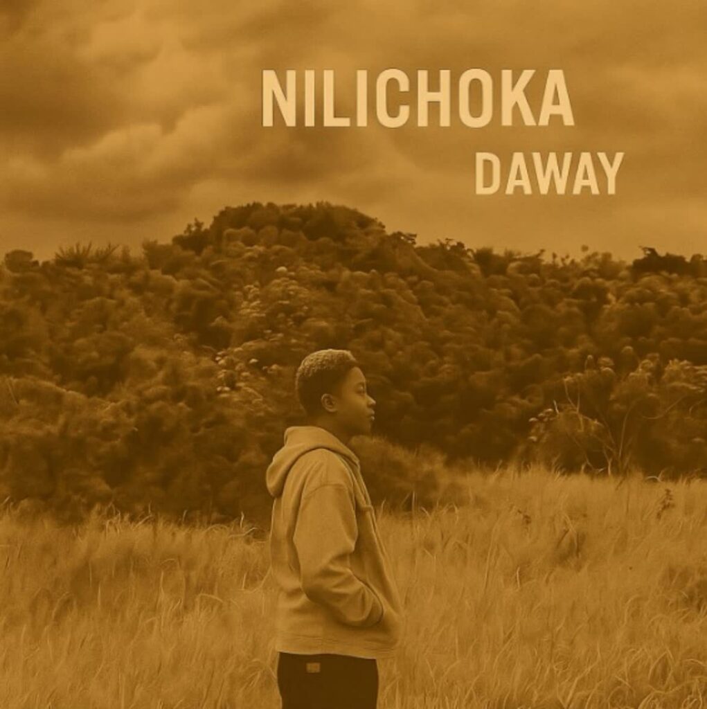 AUDIO | Daway – Nilichoka | Download