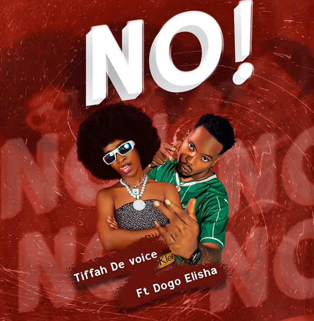 AUDIO | Tiffah devoice Ft. Dogo Elisha – NO | Download