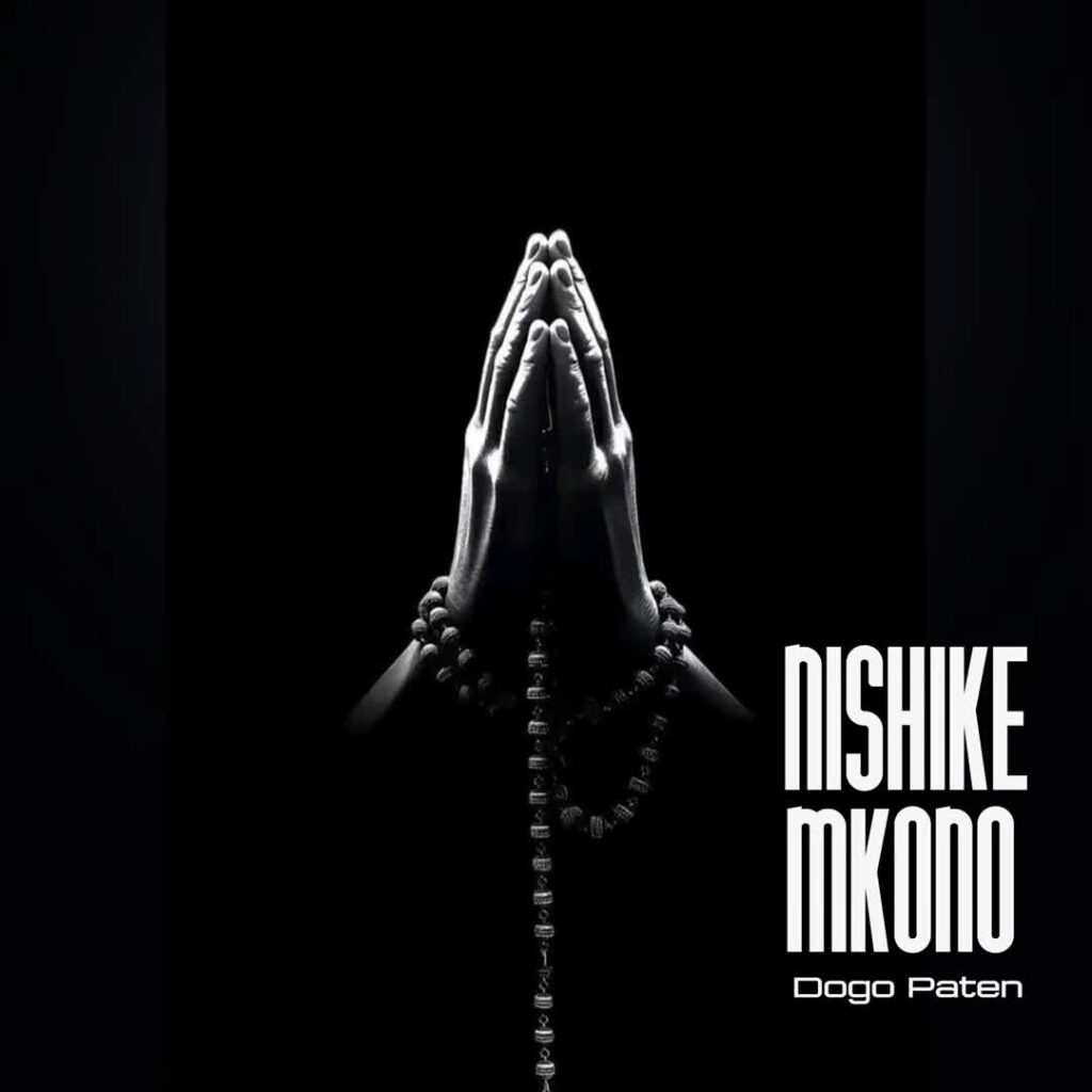 AUDIO | Dogo Paten – Nishike Mkono | Download