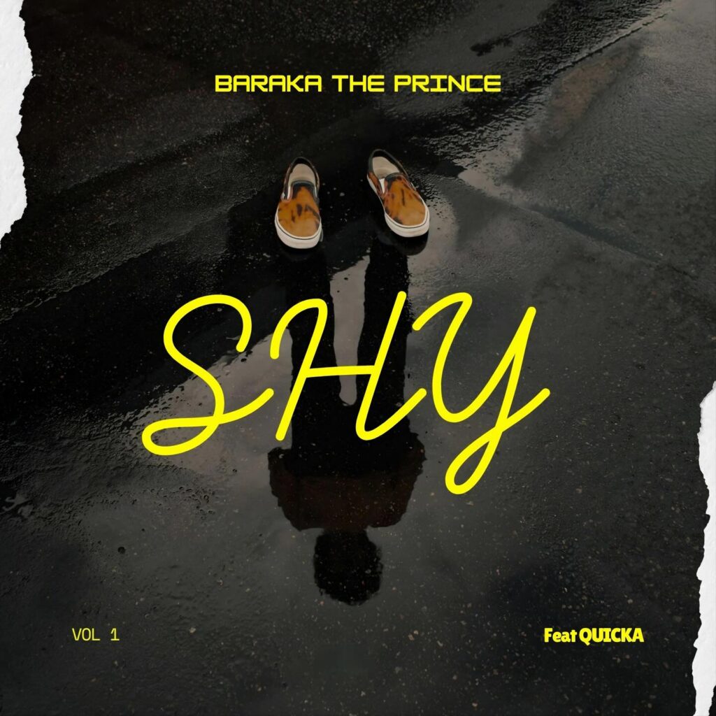 AUDIO | Barakah The Prince – SHY | Download