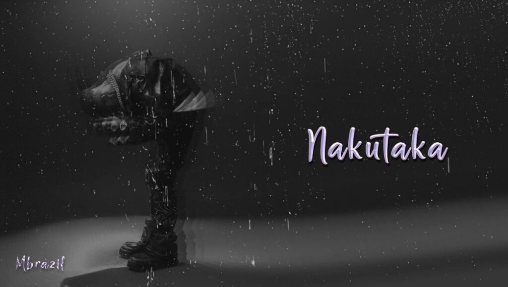 Mbrazil – NAKUTAKA