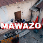 AUDIO: Nay Wa Mitego Ft Raydiance – Mawazo | Download