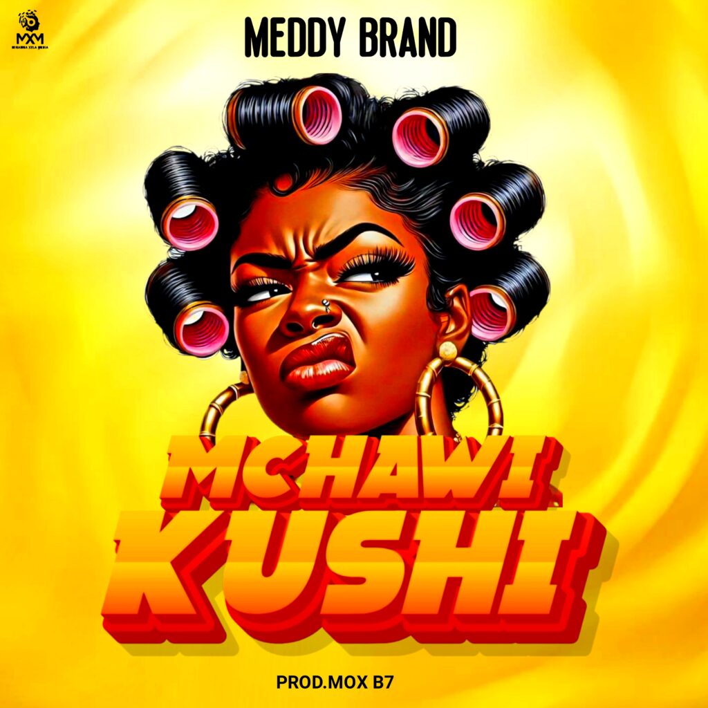 Audio | Meddy Brand – Mchaw Kushi_| Download