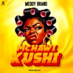 Audio | Meddy Brand – Mchaw Kushi_| Download