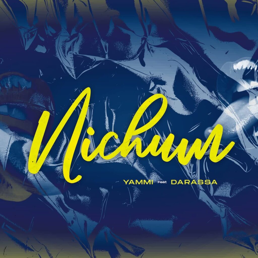 AUDIO | Yammi Ft. Darassa – Nichum | Download