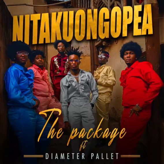 AUDIO: Diameter Pallet X The Package – Nitakuongopea | Download