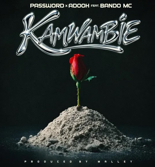 AUDIO: Password Ft Bando Mc & Adooh – Kamwambie | Download