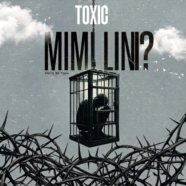 AUDIO | Toxic – MIMI LINI | Download