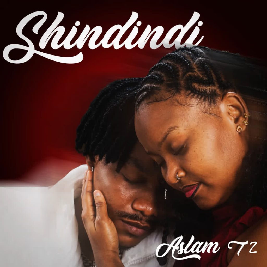 AUDIO | Aslam Tz – Shindindi | Download