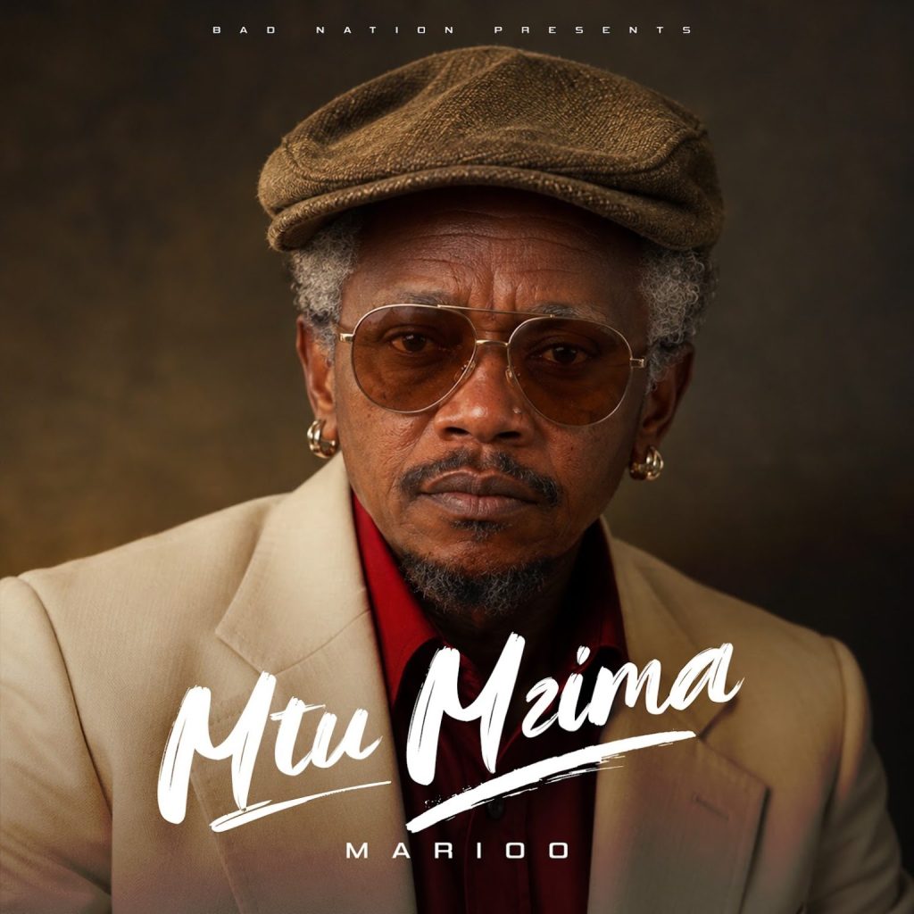 AUDIO | Marioo – Mtu Mzima | Download