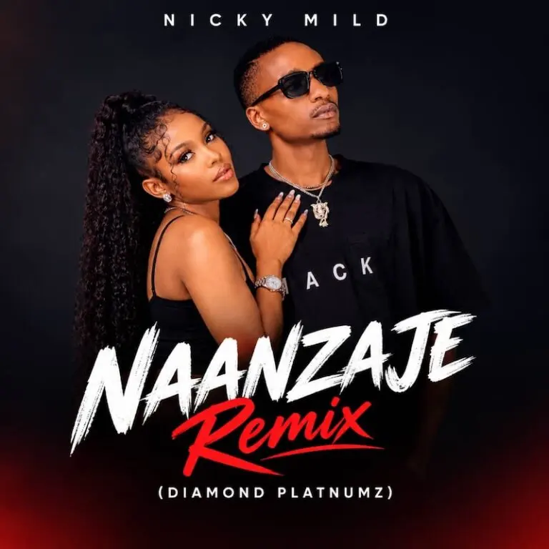Download | Nicky Mild – Naanzaje | Mp3 Audio